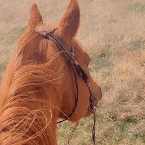 Meet your Posher, Dania